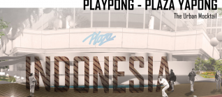 Playpong
